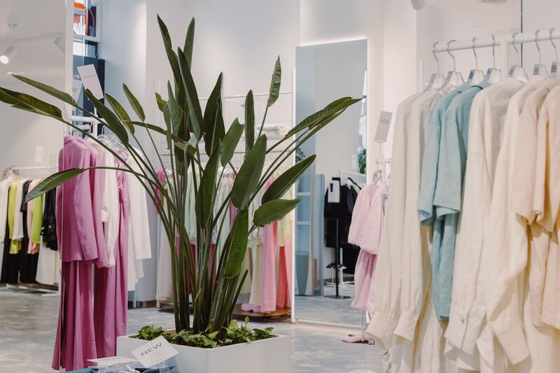 Fashion boutique interior in Newmarket, Auckland