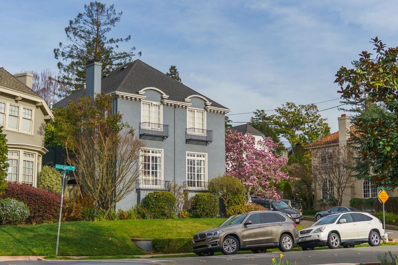Remuera luxury homes on a leafy premium street, Auckland
