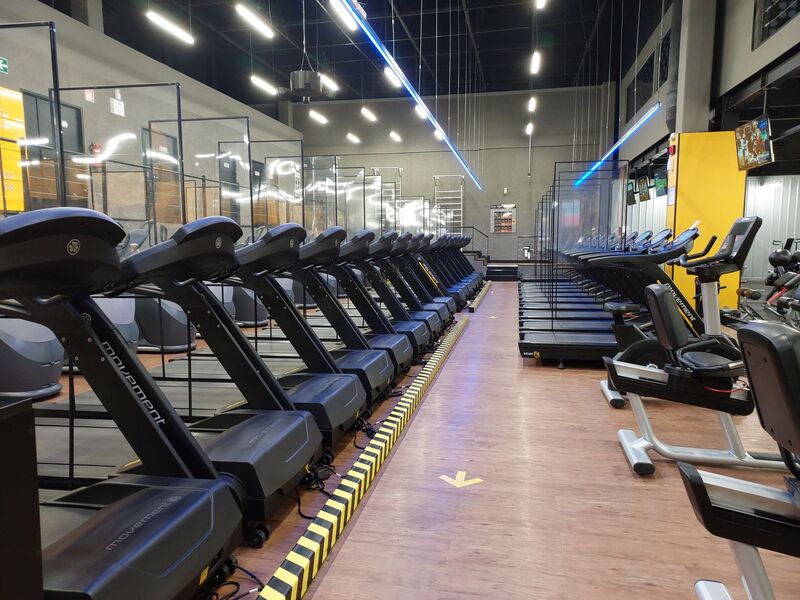 Auckland gym members training on the weights floor