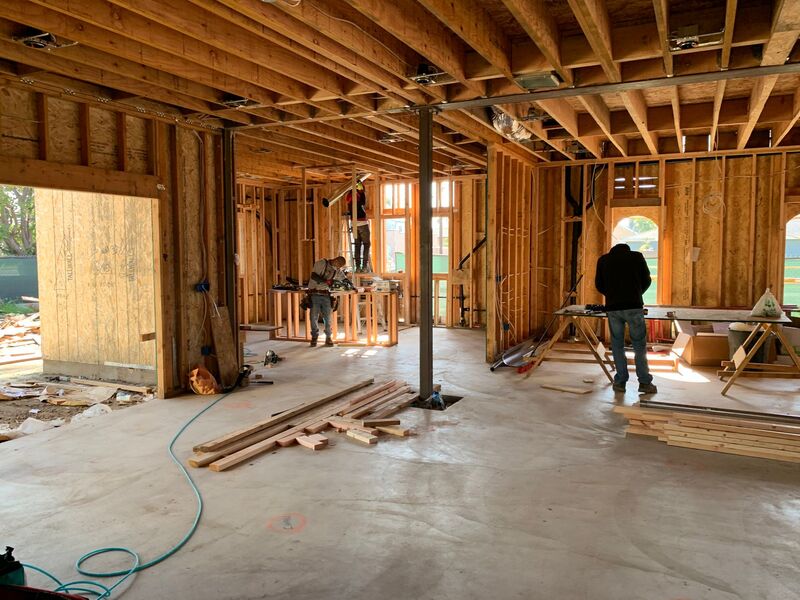Architect reviewing plans on an Auckland house construction project