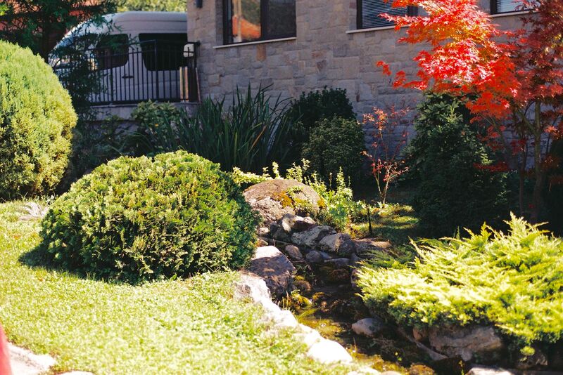 Landscaped backyard garden transformation by an Auckland landscaping company
