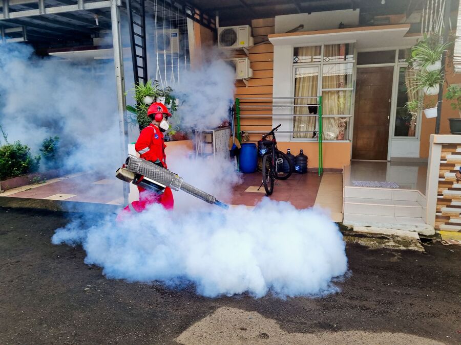 Pest control technician treating an Auckland home for rodents and insects