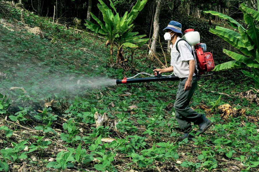 Auckland exterminator applying professional pest treatment equipment