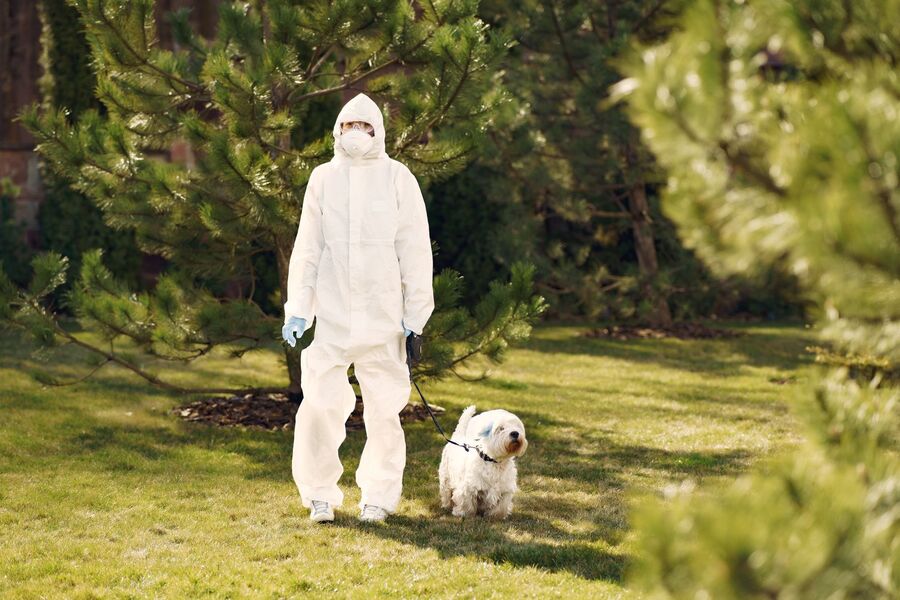 Pest control technician in protective gear servicing a property in Auckland