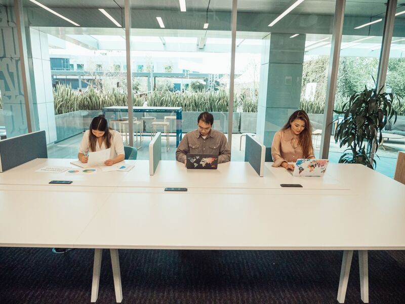 Startup marketing team building an SEO content plan in a coworking office in Auckland